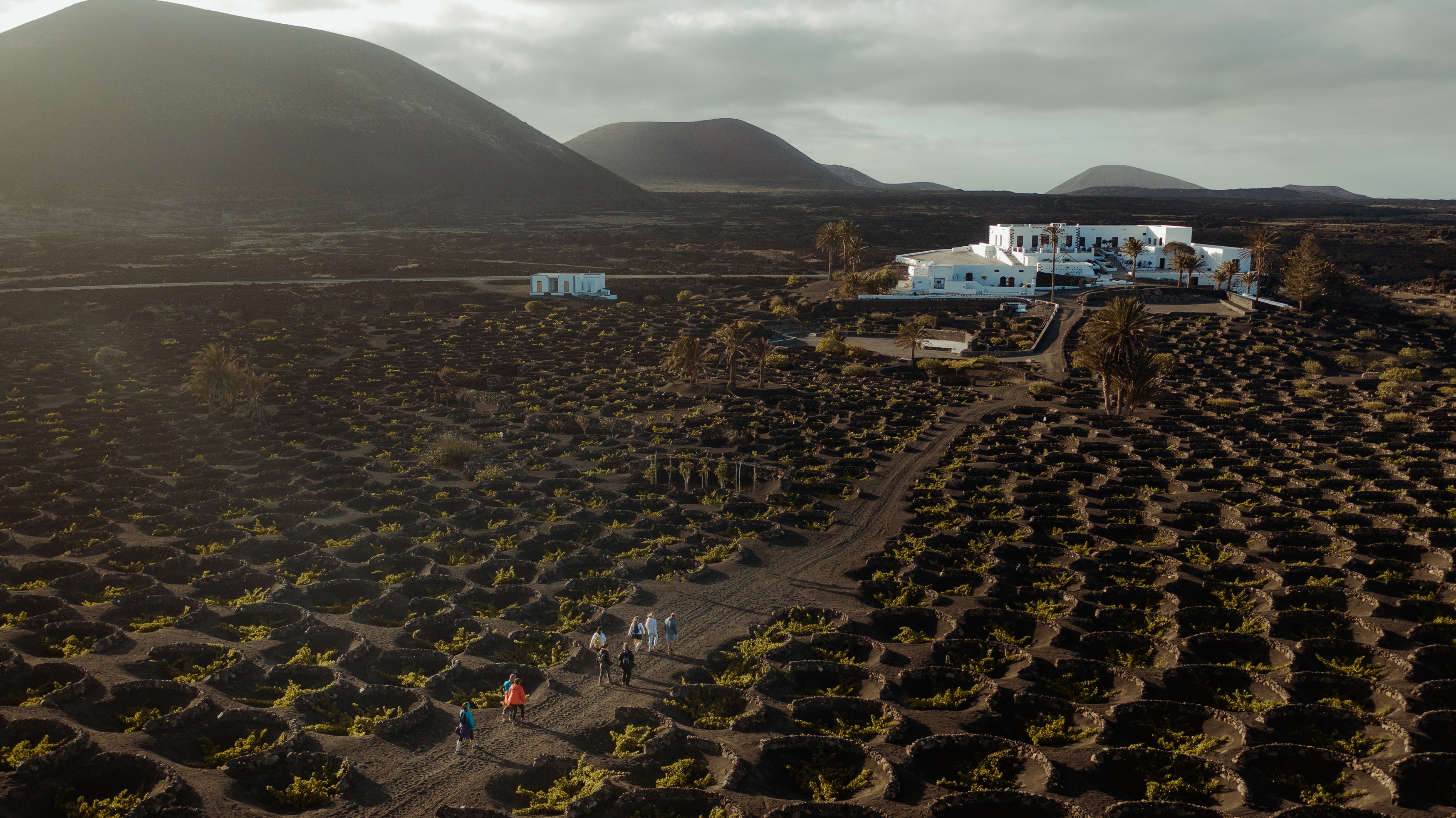 Bodega Vega de Yuco — foto 1