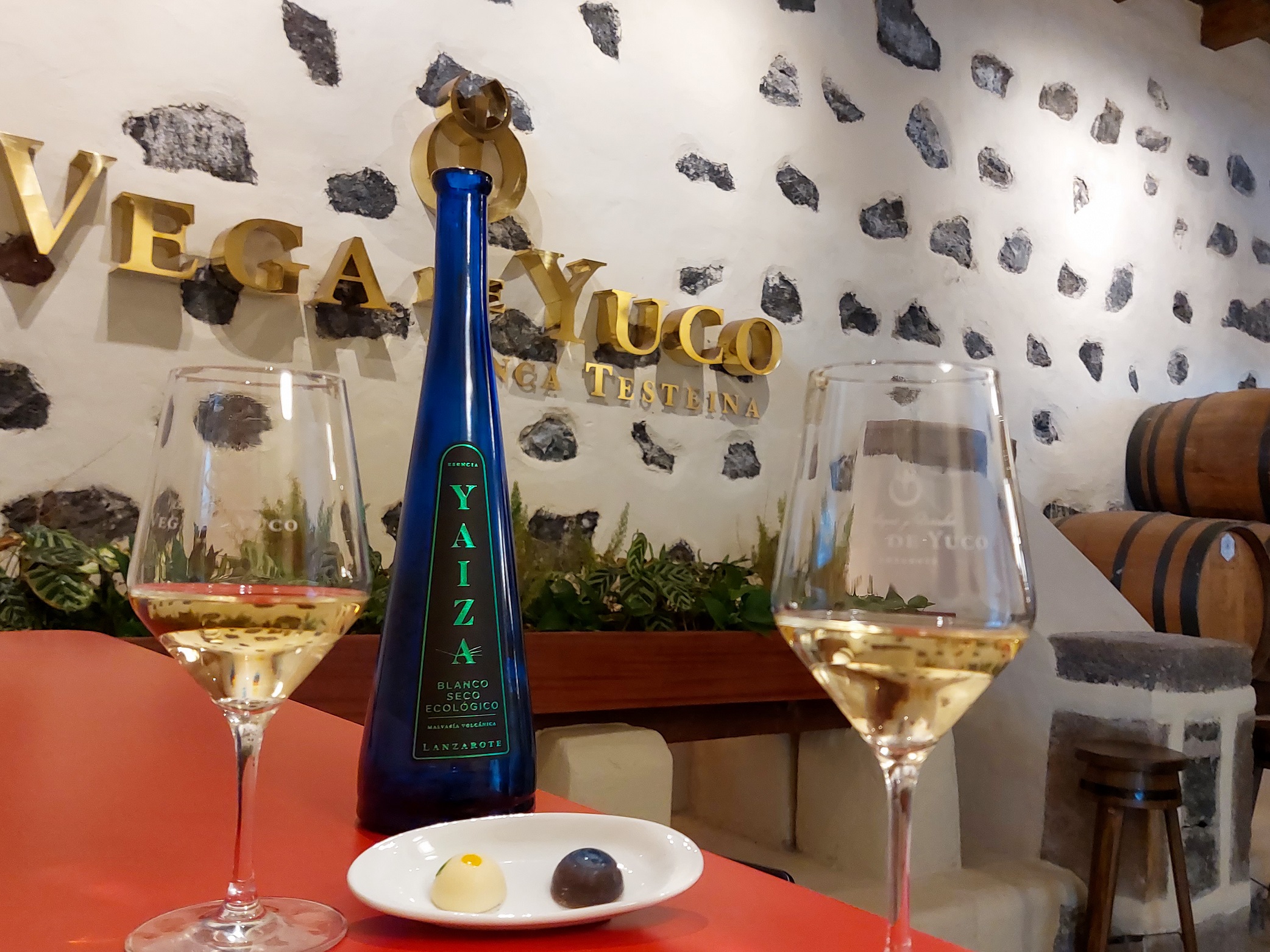 Bodega Vega de Yuco — foto 2